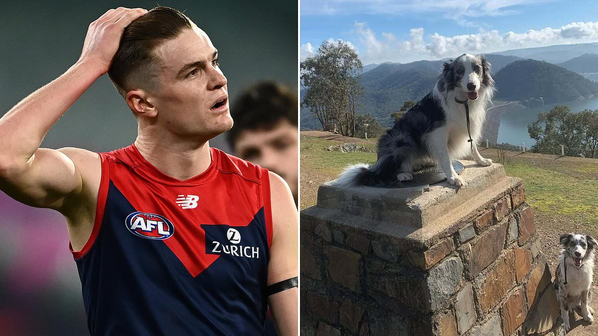 From Injury to Infamy: Why Footy Stars Face Unexpected Sidelining